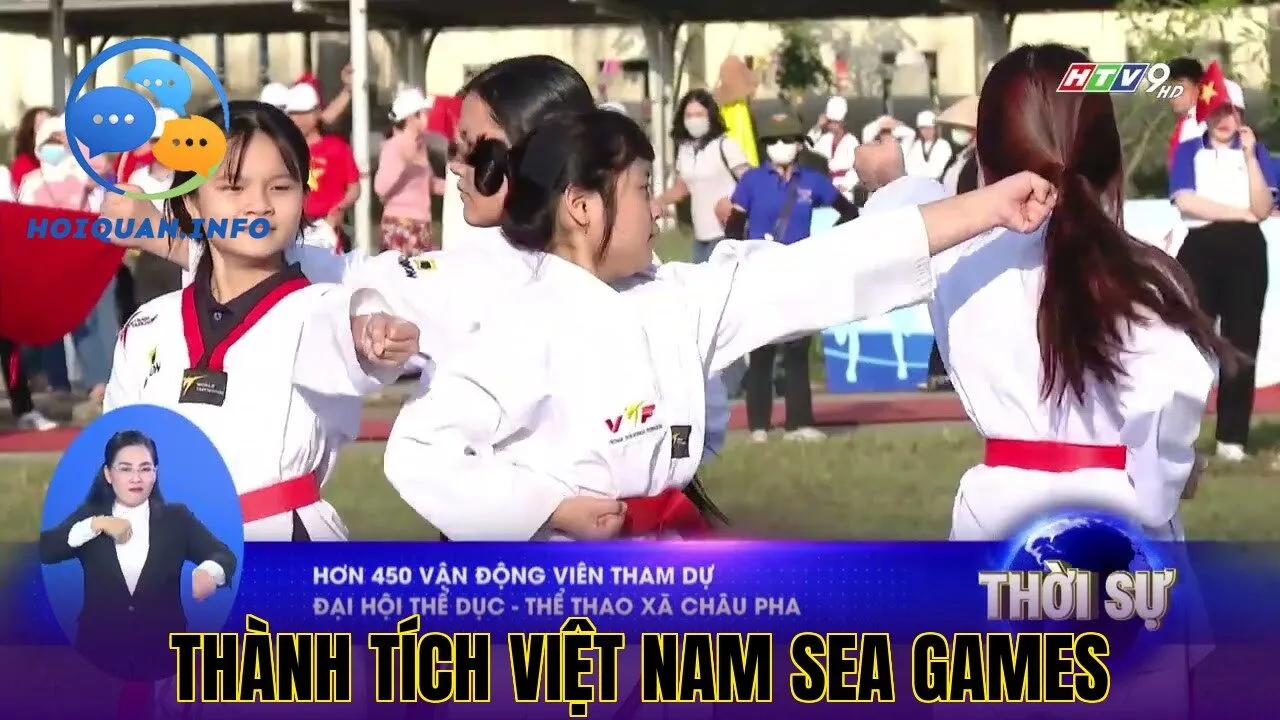 Thành tích Việt Nam SEA Games